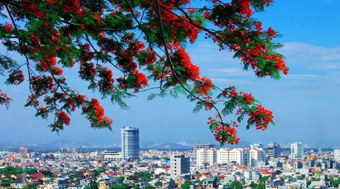 Xe Ghép Nam Định – Hải Phòng – Sân Bay Cát Bi: Giải Pháp Di Chuyển Tiện Lợi,