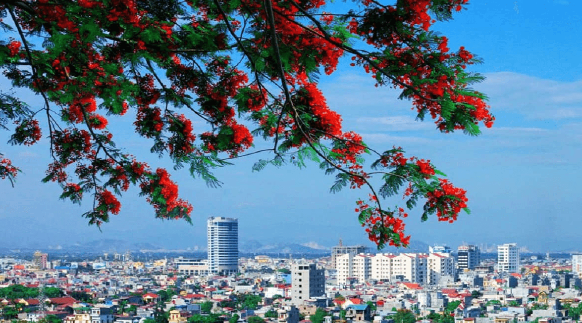 Xe Ghép Hải Phòng - Hà Nội: Dịch Vụ Chuyên Nghiệp, Xe Sạch Sẽ - Nâng Tầm Trải Nghiệm Di Chuyển!