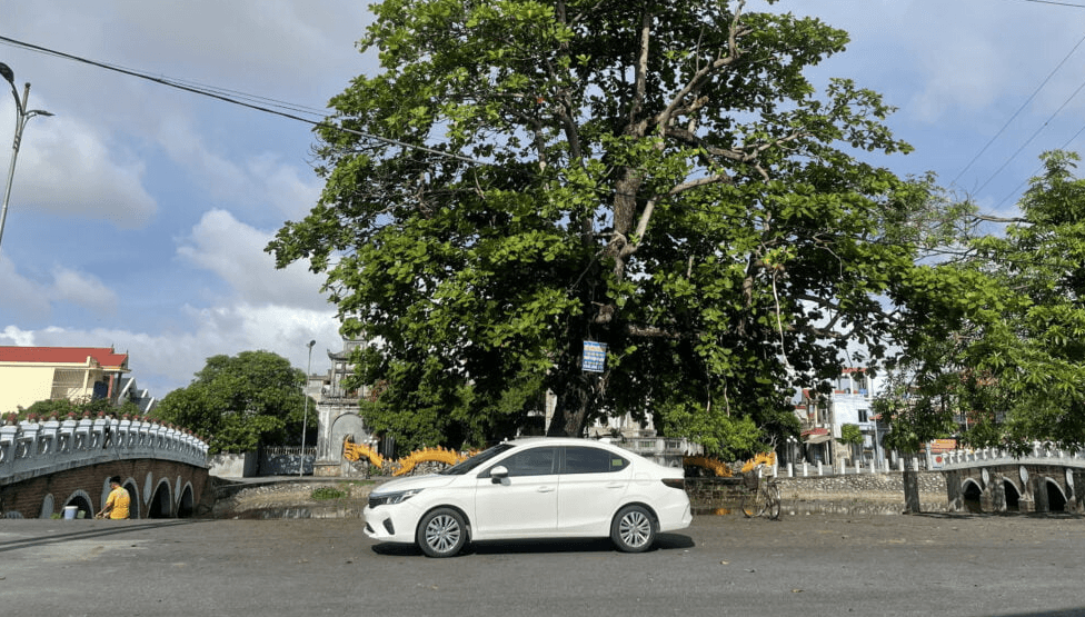 Xe Ghép Nam Định - Hạ Long: Du Lịch Biển Đảo Với Dịch Vụ Chất Lượng Trên Xe!